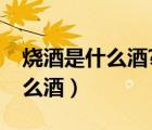 燒酒是什么酒?燒酒和白酒的區(qū)別（燒酒是什么酒）
