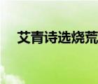 艾青詩選燒荒內(nèi)容概括（艾青詩選燒荒）