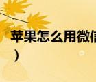 蘋果怎么用微信分身（蘋果手機微信怎么分身）