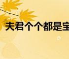 夫君個個都是寶txt全集（夫君個個都是寶）