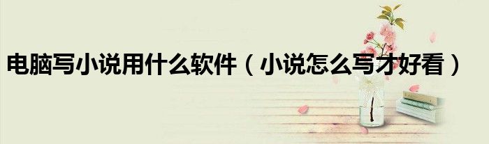電腦寫小說用什么軟件（小說怎么寫才好看）