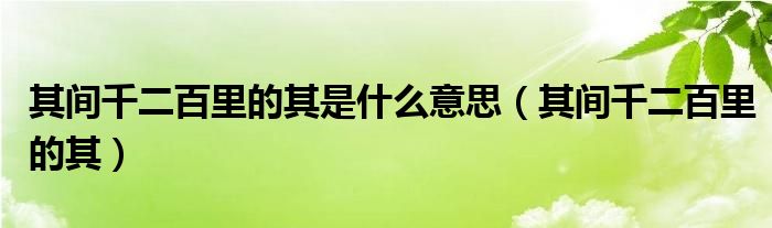 其間千二百里的其是什么意思（其間千二百里的其）