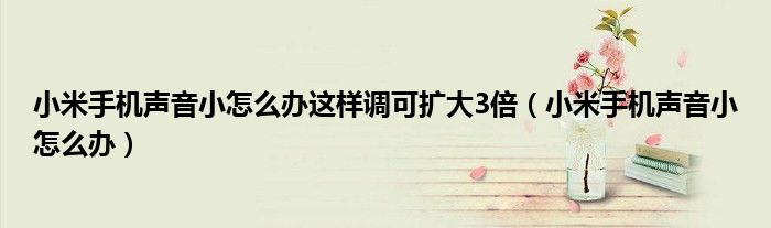 小米手機(jī)聲音小怎么辦這樣調(diào)可擴(kuò)大3倍（小米手機(jī)聲音小怎么辦）