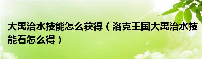 大禹治水技能怎么獲得（洛克王國(guó)大禹治水技能石怎么得）
