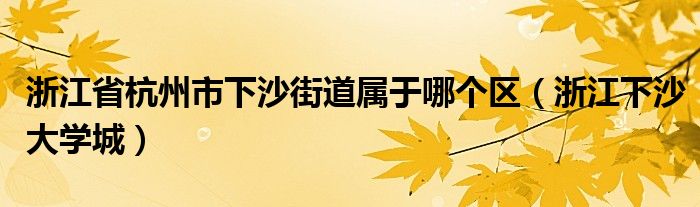 浙江省杭州市下沙街道屬于哪個區(qū)（浙江下沙大學(xué)城）