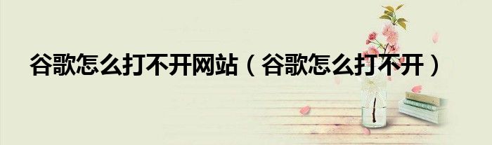 谷歌怎么打不開網(wǎng)站（谷歌怎么打不開）