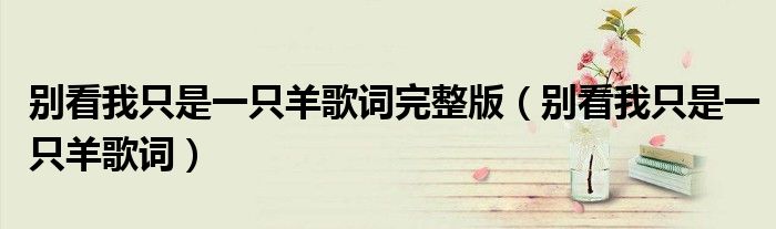 別看我只是一只羊歌詞完整版（別看我只是一只羊歌詞）