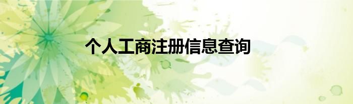 個(gè)人工商注冊(cè)信息查詢(xún)