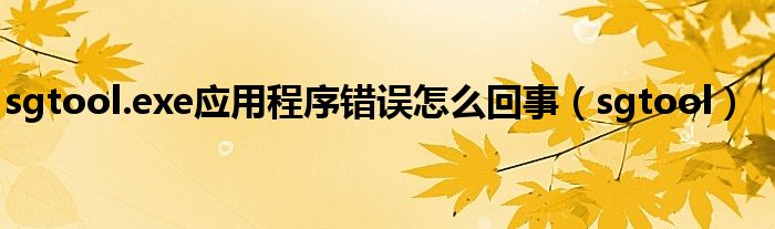 sgtool.exe應用程序錯誤怎么回事（sgtool）