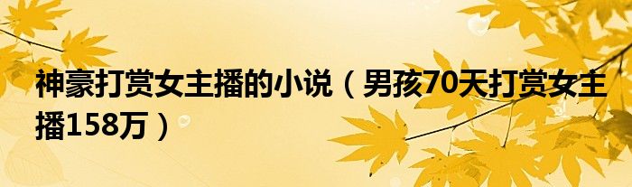 神豪打賞女主播的小說(shuō)（男孩70天打賞女主播158萬(wàn)）