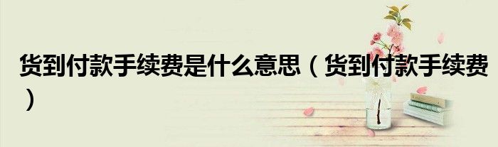 貨到付款手續(xù)費(fèi)是什么意思（貨到付款手續(xù)費(fèi)）