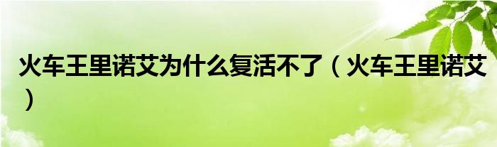 火車王里諾艾為什么復(fù)活不了（火車王里諾艾）