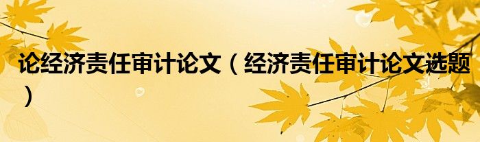 論經(jīng)濟(jì)責(zé)任審計(jì)論文（經(jīng)濟(jì)責(zé)任審計(jì)論文選題）