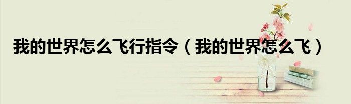 我的世界怎么飛行指令（我的世界怎么飛）