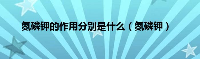 氮磷鉀的作用分別是什么（氮磷鉀）