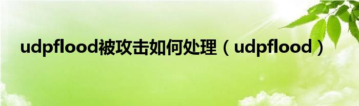 udpflood被攻擊如何處理（udpflood）