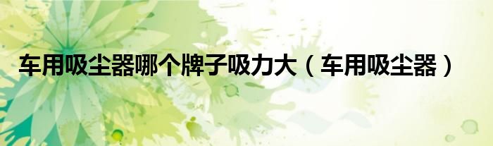 車用吸塵器哪個牌子吸力大（車用吸塵器）
