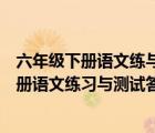 六年級下冊語文練與測試答案蘇教版答案（蘇教版六年級下冊語文練習(xí)與測試答案）