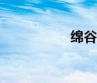 綿谷新頭像（綿谷新）