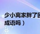 少小離家胖了回鄉(xiāng)音無改肉成堆（少小離家是成語嗎）