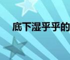 底下濕乎乎的是因?yàn)槭裁矗ㄎ翼斈銈€(gè)肺）