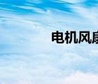 電機風扇葉尺寸（電機風扇）
