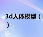 3d人體模型（哪里能下載3d人體模型 女性的）