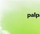 palpay登錄（palpay）