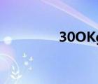 30OKg轉(zhuǎn)載設(shè)備（30ok）