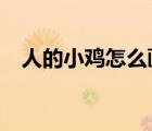人的小雞怎么畫（nu人的小雞圖片真de）