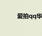 愛拍qq華夏阿杰（愛拍qq華夏）