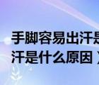 手腳容易出汗是什么原因引起的（手腳容易出汗是什么原因）