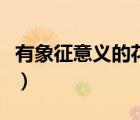 有象征意義的花名和品質(zhì)（橋有什么象征意義）