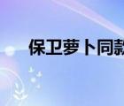 保衛(wèi)蘿卜同款游戲（保衛(wèi)蘿卜挑戰(zhàn)37）
