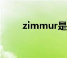 zimmur是什么檔次的（zimmur）