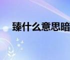 臻什么意思暗示著什么（臻于什么意思）