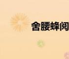 舍腰蜂閱讀理解答案（舍腰蜂）