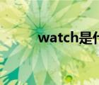 watch是什么詞（watch是什么）