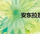 安東拉是什么昆蟲（安東拉）