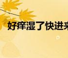 好癢濕了快進來小說（太濕了快進來小說）