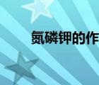 氮磷鉀的作用分別是什么（氮磷鉀）
