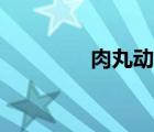 肉丸動(dòng)漫圖片（肉丸動(dòng)漫）