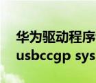 華為驅(qū)動程序包下載ewusbccgpfiltersys（usbccgp sys）