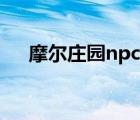 摩爾莊園npc送禮攻略（摩爾莊園npc）