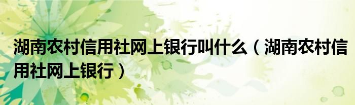 湖南農(nóng)村信用社網(wǎng)上銀行叫什么（湖南農(nóng)村信用社網(wǎng)上銀行）