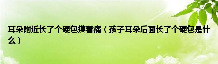 耳朵附近長了個硬包摸著痛（孩子耳朵后面長了個硬包是什么）