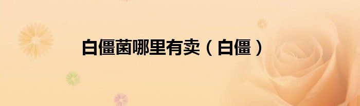 白僵菌哪里有賣(mài)（白僵）