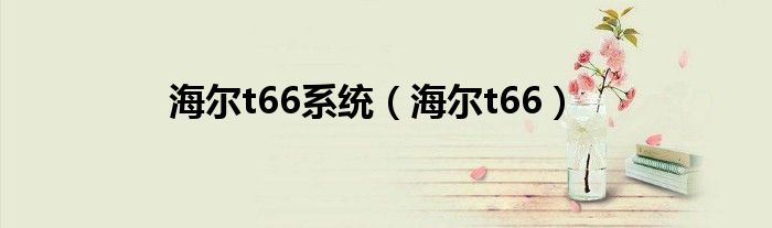 海爾t66系統(tǒng)（海爾t66）