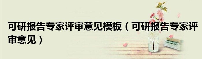可研報告專家評審意見模板（可研報告專家評審意見）