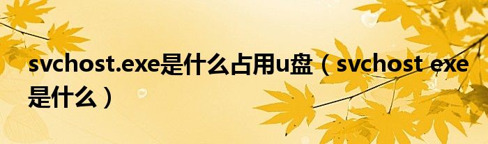 svchost.exe是什么占用u盤（svchost exe是什么）